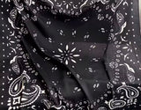 Le Bandana scarf