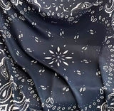 Le Bandana scarf